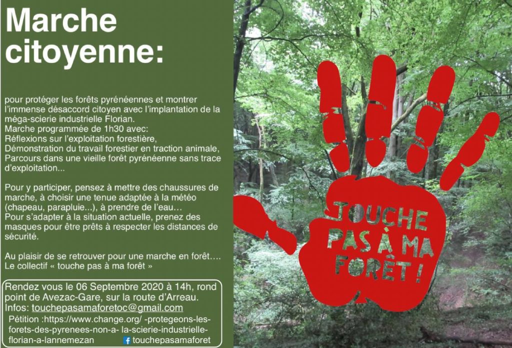 Toulouse : Rassemblement pour la forêt pyrénéenne contre un projet de méga  scierie