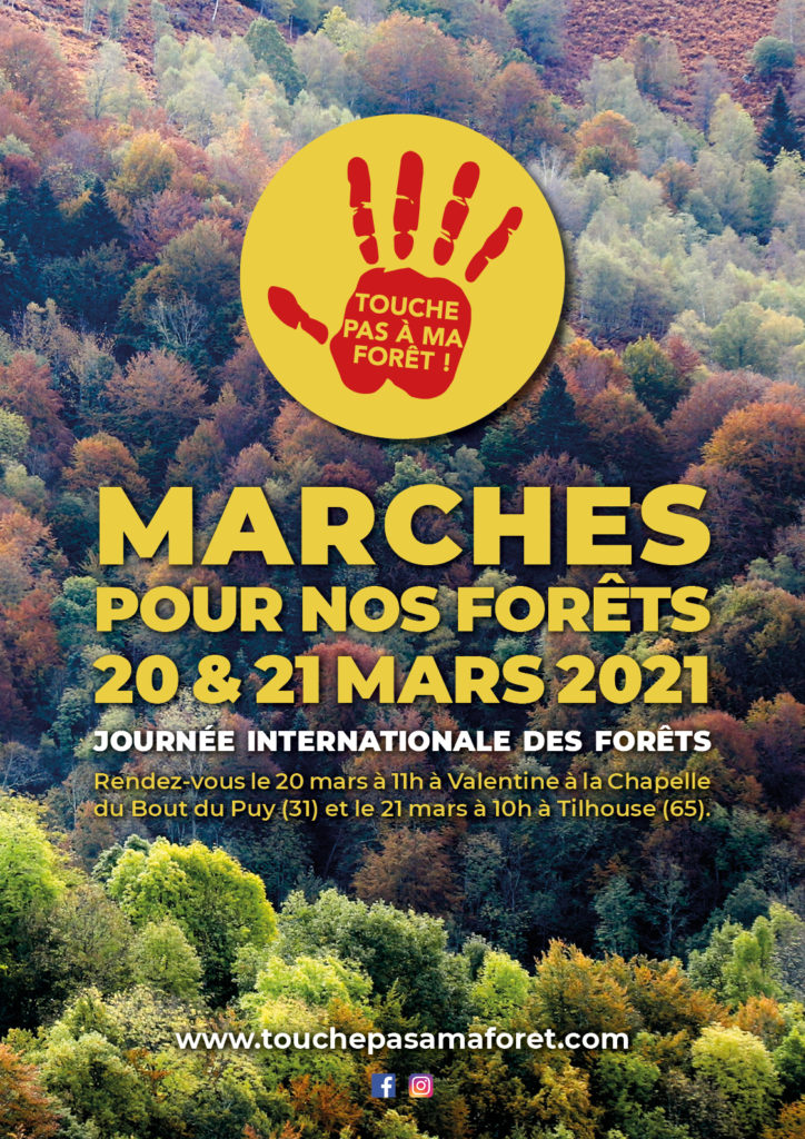 Toulouse : Rassemblement pour la forêt pyrénéenne contre un projet de méga  scierie